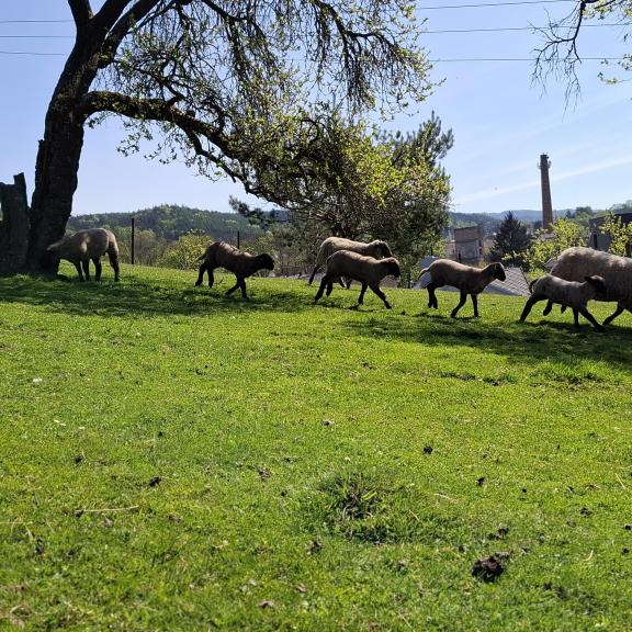 Den Země a Ukliďme Česko!