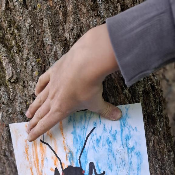 Venkovní výuka - ekosystém park