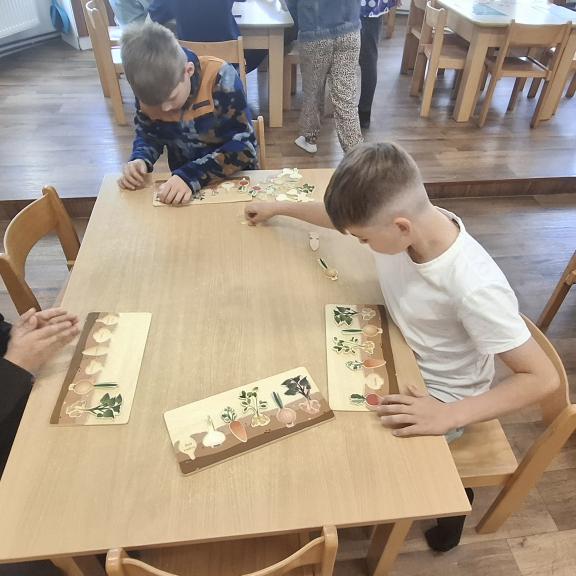 Projekt Živá zahrada