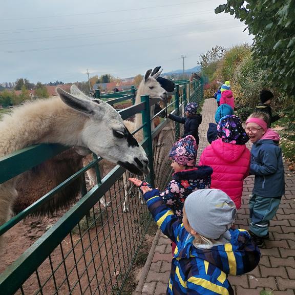 Výlet - farma Wenet