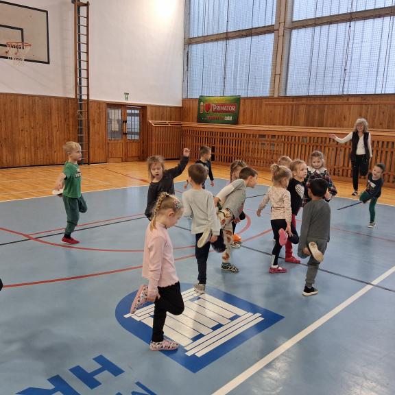 Cvičení s Lvíčkem v tělocvičně - Ferdové