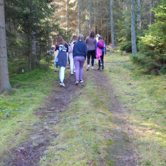 Cestou na Lysý vrch děti dokázaly, že vědí, jak se mají v přírodě chovat. Muchomůrka přežila přechod celé naší skupiny.