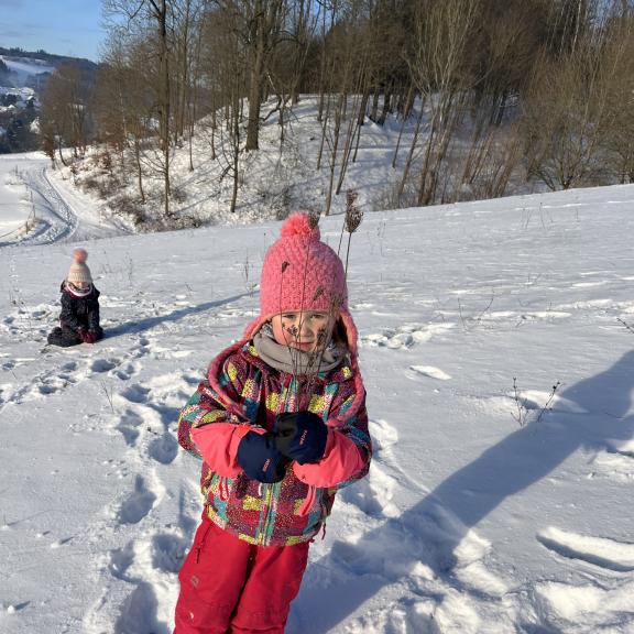 Sáňkování - Berušky