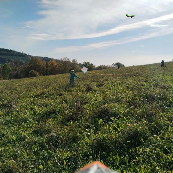 Pouštění draků (družina)