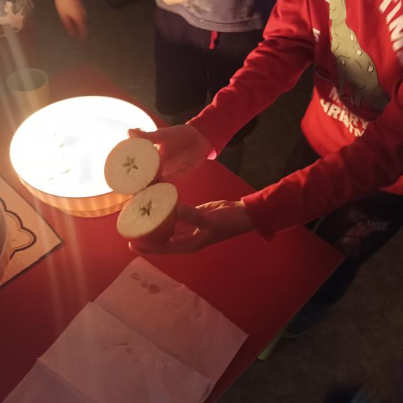 Vánoční besídka s družinou