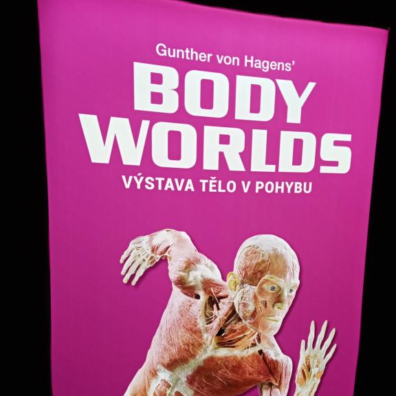 Body Worlds osmé třídy (31. 3. 2026)