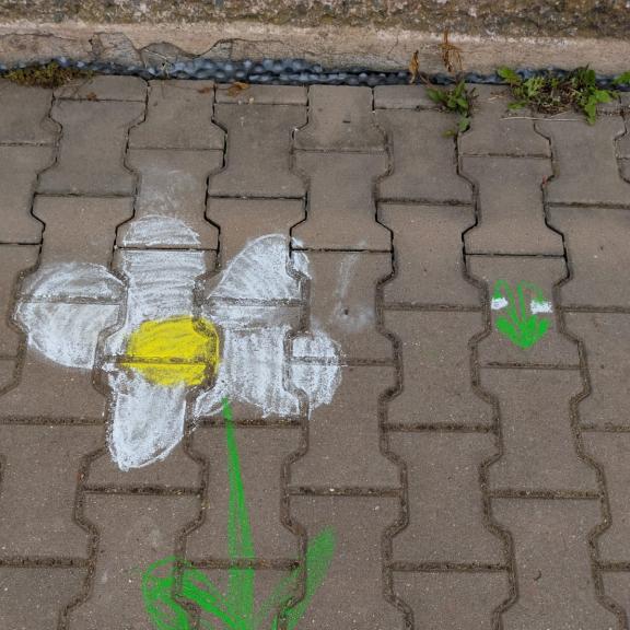 U nás jaro v plném proudu